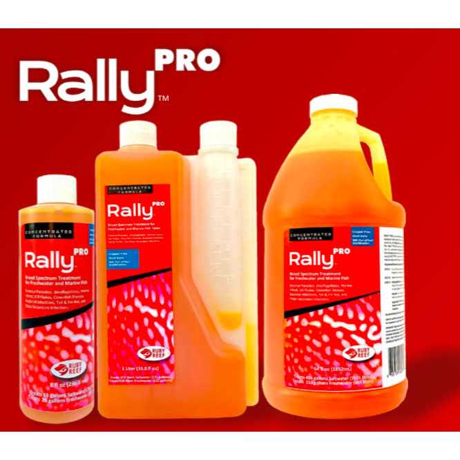 Alternative view of Ruby Reef Rally Pro