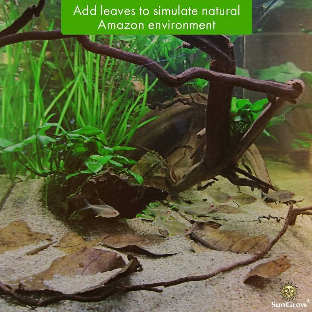 Alternative view of Sungrow Betta Fish Indian Almond Leaves Water Conditioner & Tank Treatment for Freshwater Aquarium