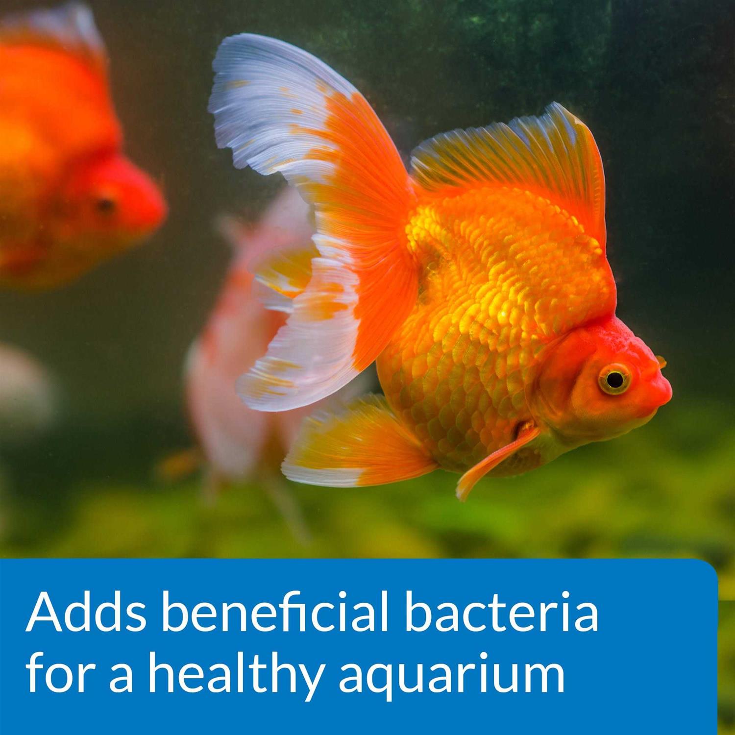 Alternative view of API Goldfish Protect Aquarium Water Conditioner