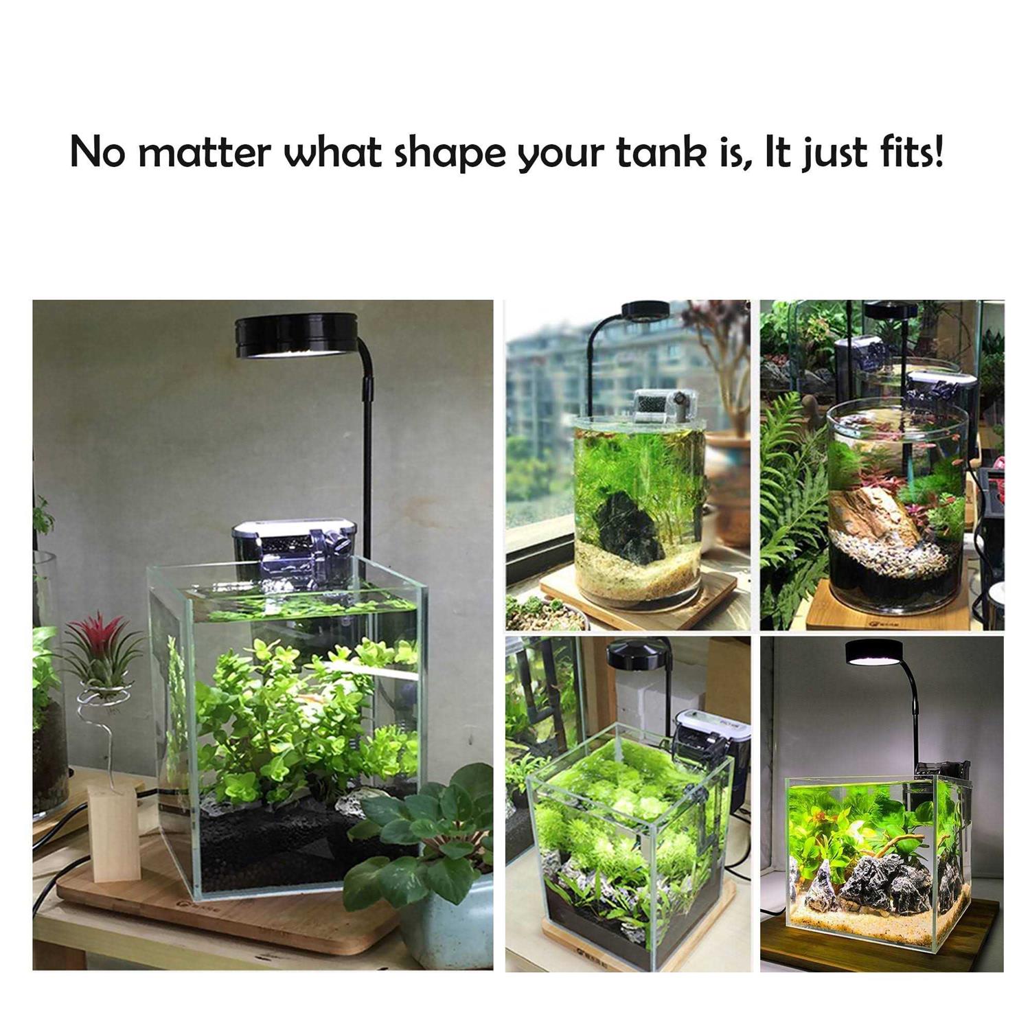 Alternative view of HIRO Aquatics Full Spectrum LED Light with Bamboo Board fits Aquarium Nano Tank