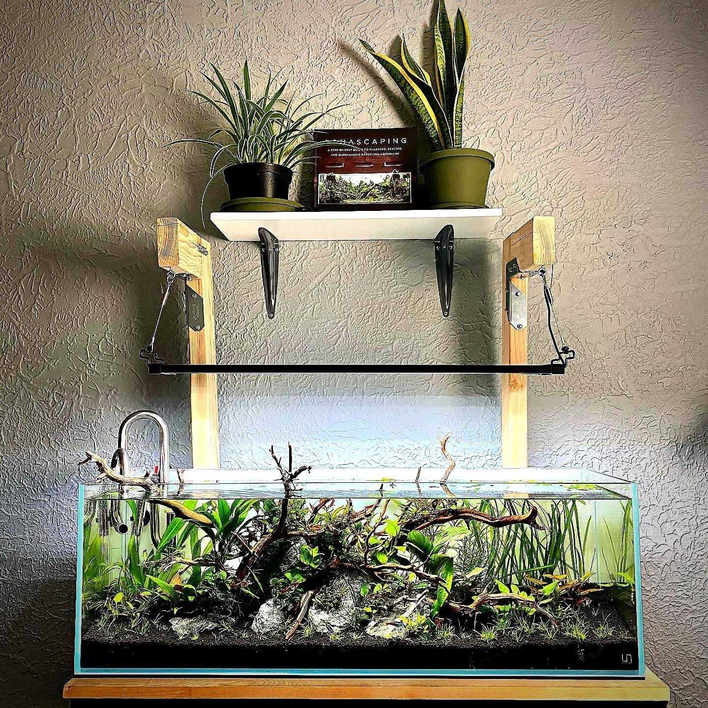 Alternative view of UNS Ultra Clear Rimless Aquarium