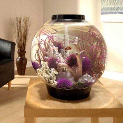 Alternative view of biOrb Classic 60 Aquarium with LED