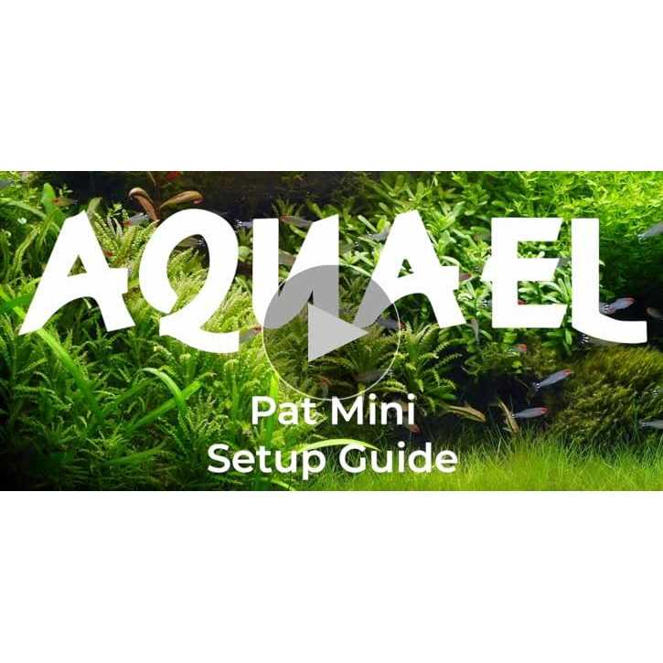 Alternative view of Aquael Mini Pat Internal Filter