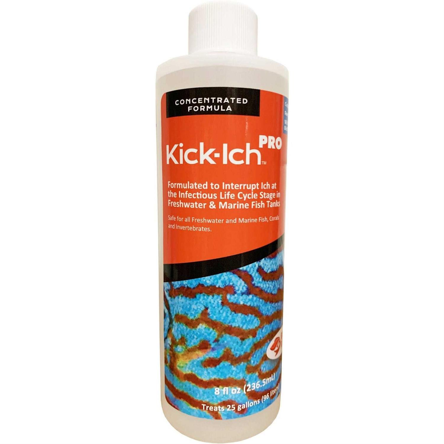 Ruby Reef Kick Ich Pro