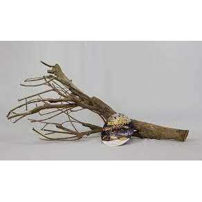 Alternative view of Zoo Med Talawa Mangrove Root