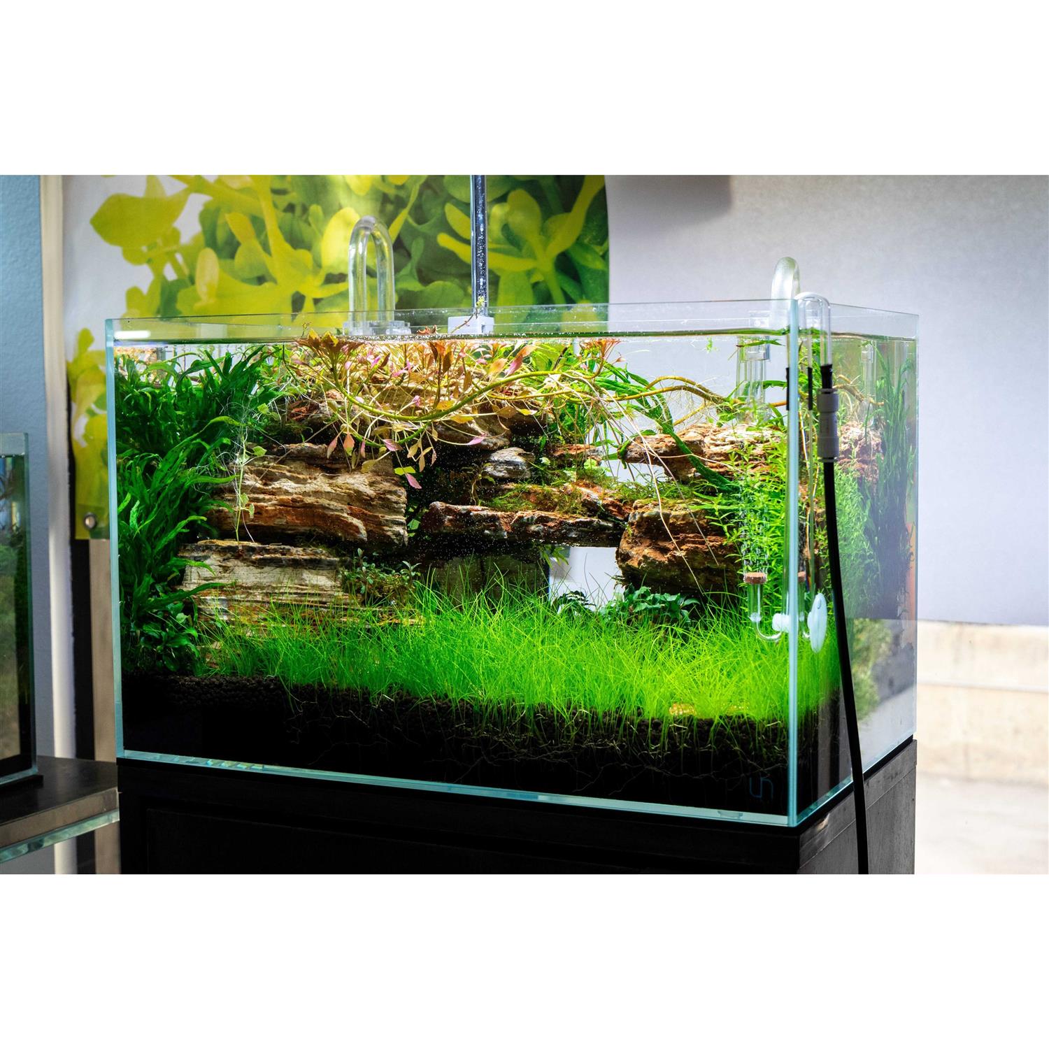 Alternative view of Ultum Nature Systems Rimless Aquarium UNS 45U 9 gallons