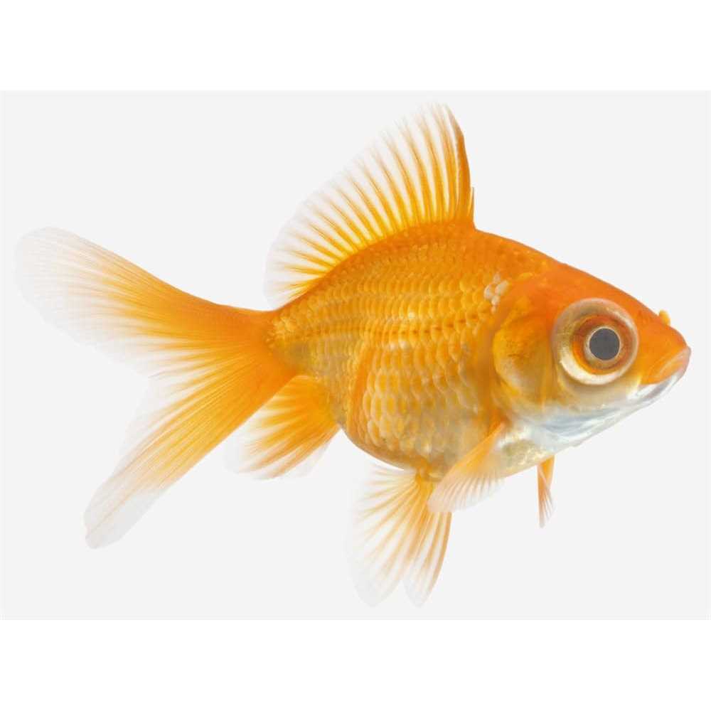 Alternative view of Seachem KanaPlex
