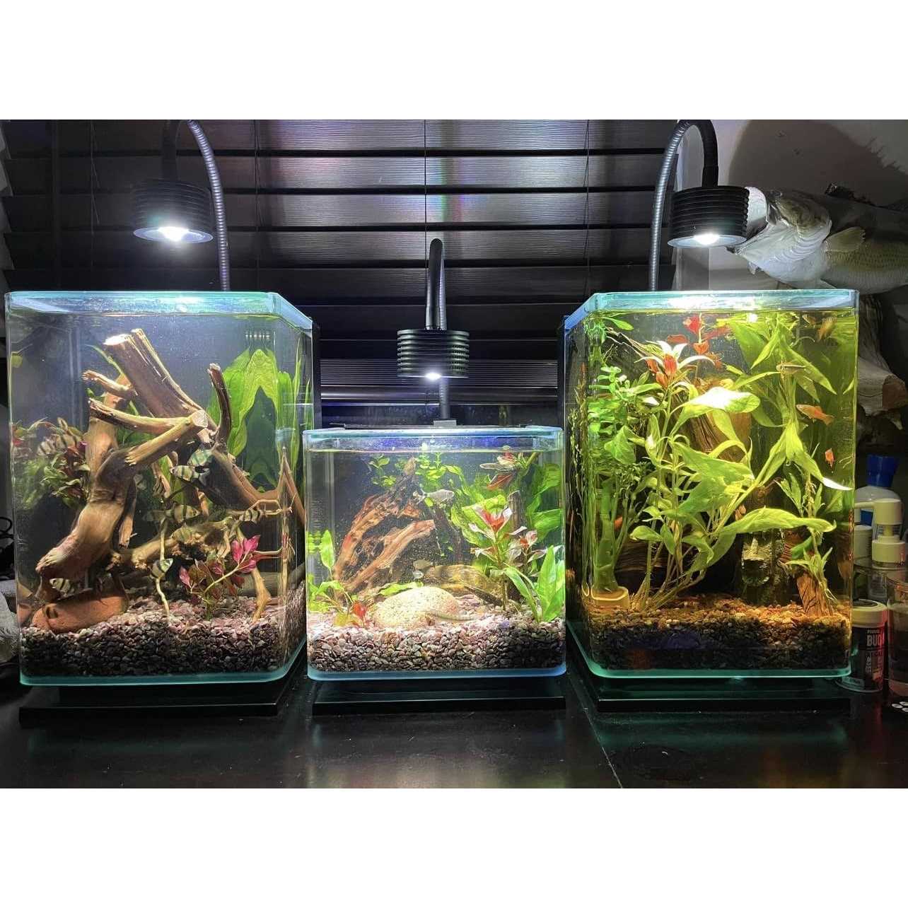 Alternative view of Lominie LED Aquarium Light Planted Tank Light 4 Channels Remote Control 6500k Aquarium LED Light for Freshwater Fish Tank Refugium with Gooseneck