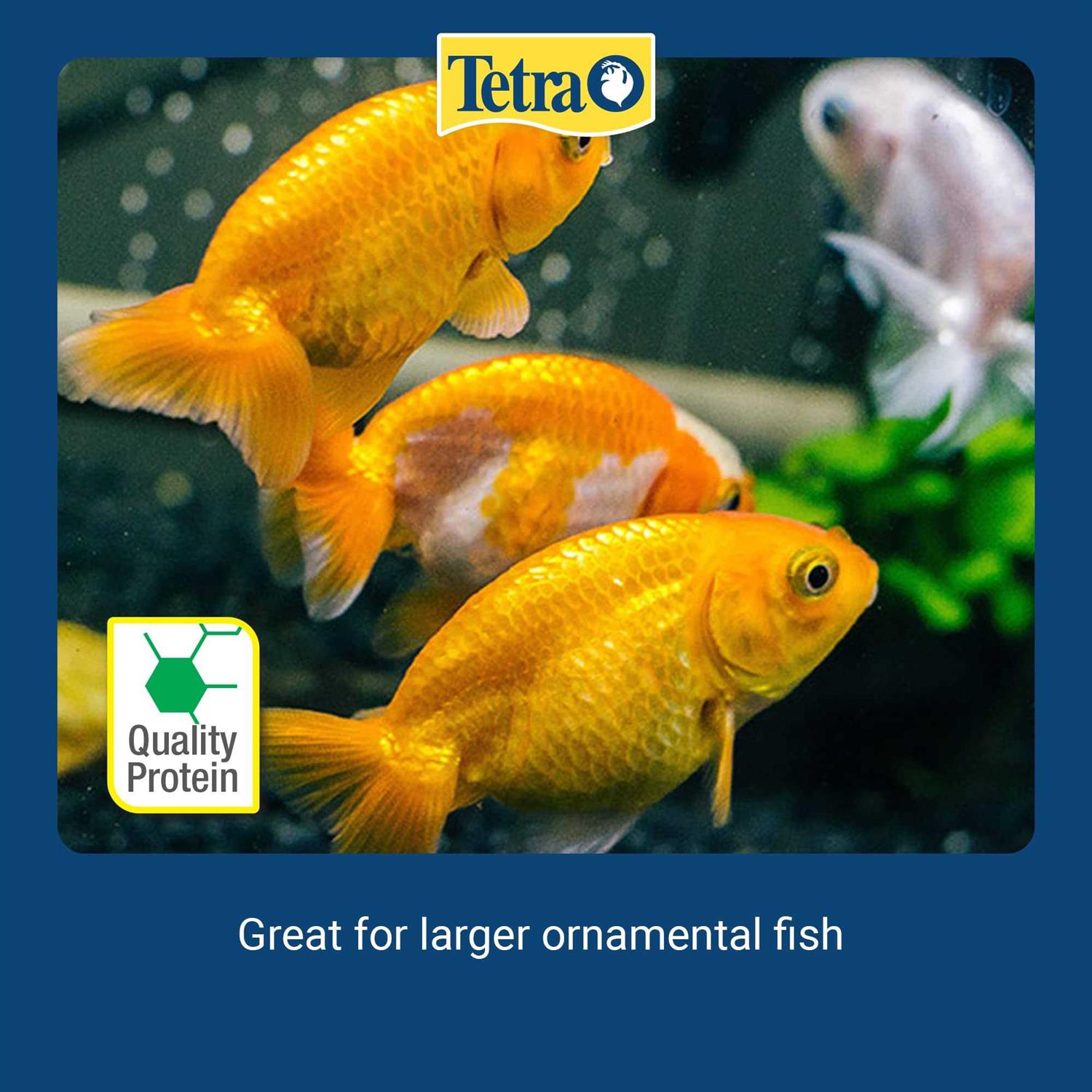 Alternative view of Tetra Baby Shrimp Sun Dried Gammarus