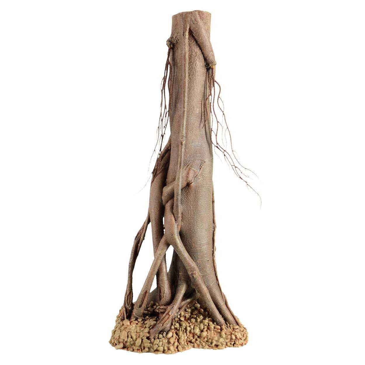 Alternative view of Underwater Treasures Mangrove Root