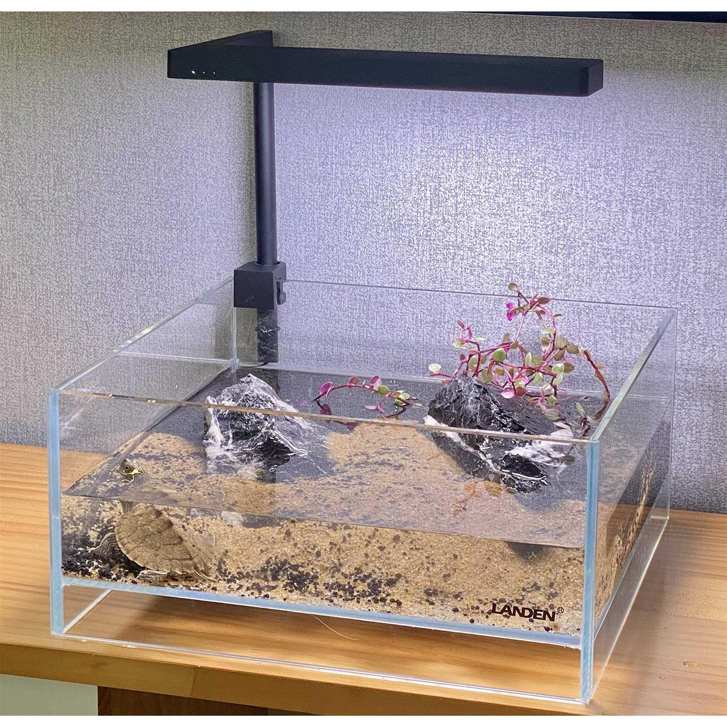 Alternative view of LANDEN Glass Air Aquarium Tank Multi-SceneLandscape Aquarium 1.6Gallon Rimless Low Iron Shallow Tank,W10.6×D10.6×H4.7 in 5mm Thickness