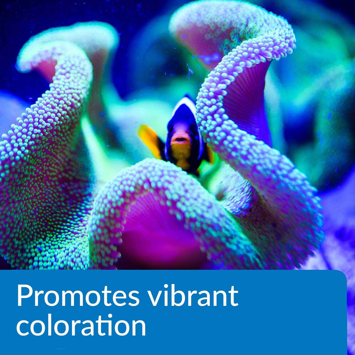Alternative view of API Marine Complete Trace Aquarium Water Conditioner