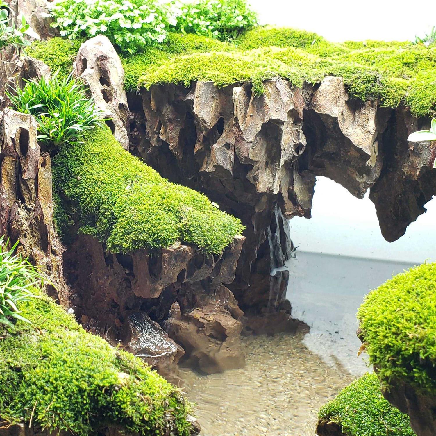 Alternative view of Lifegard Aquatics Dragon Songpi Ohko Rock 25 Gallon Kit