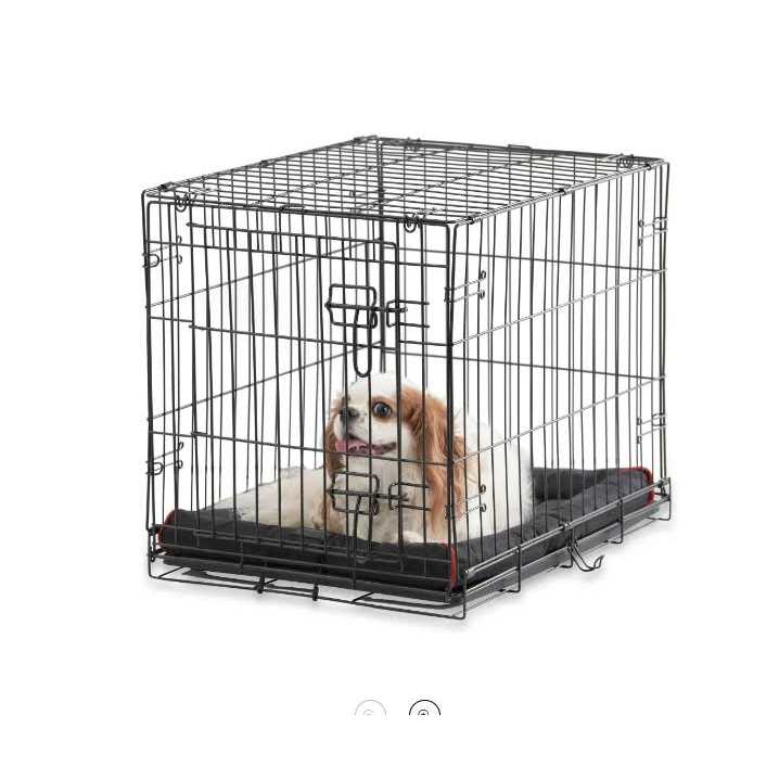 Alternative view of Vibrant Life Single-Door Folding Dog Crate with Divider