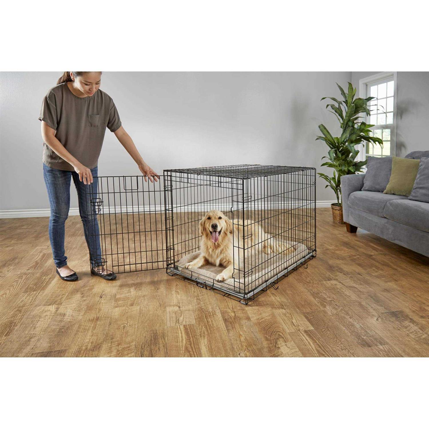 Alternative view of EveryYay Dog Crate
