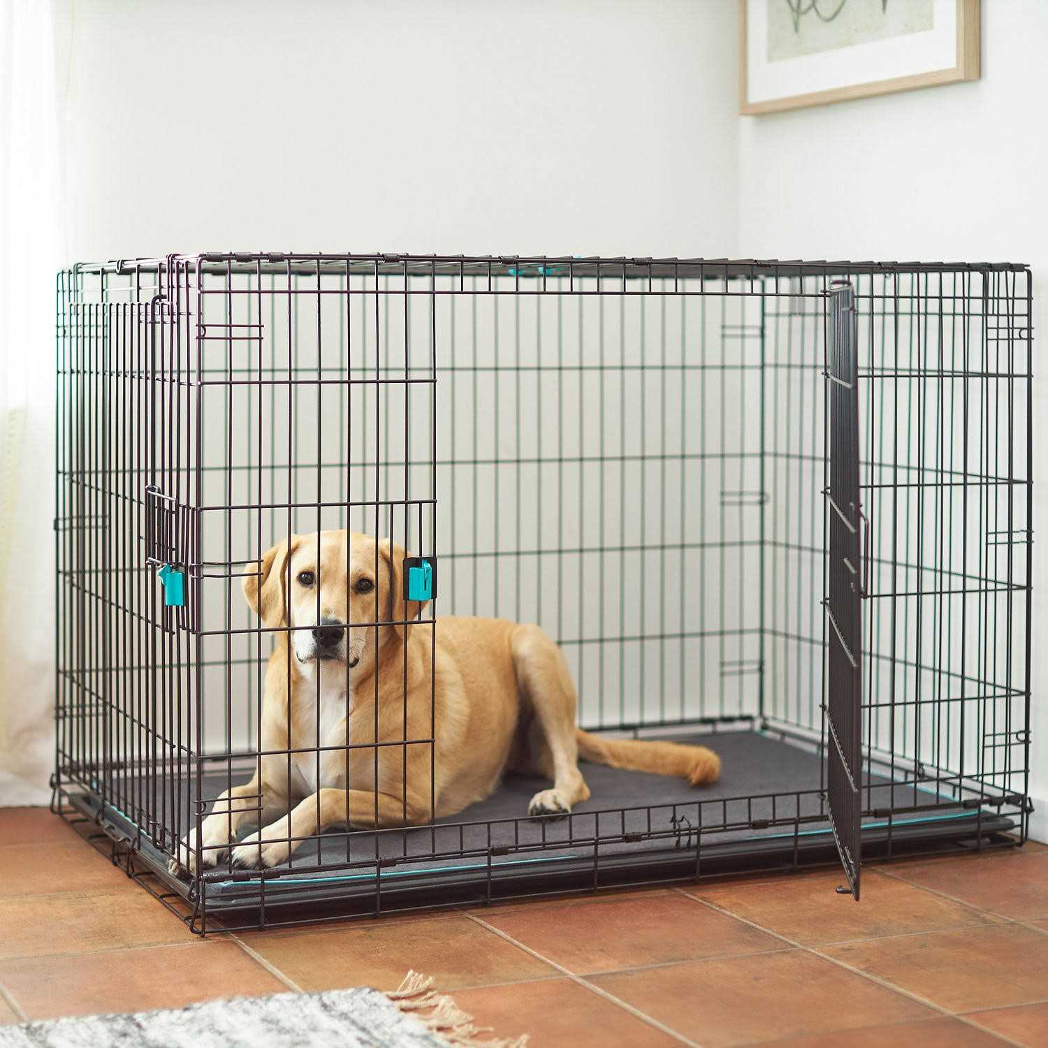 Alternative view of Frisco Enhanced Lock Double Door Fold Carry Wire Dog Crate Mat Kit