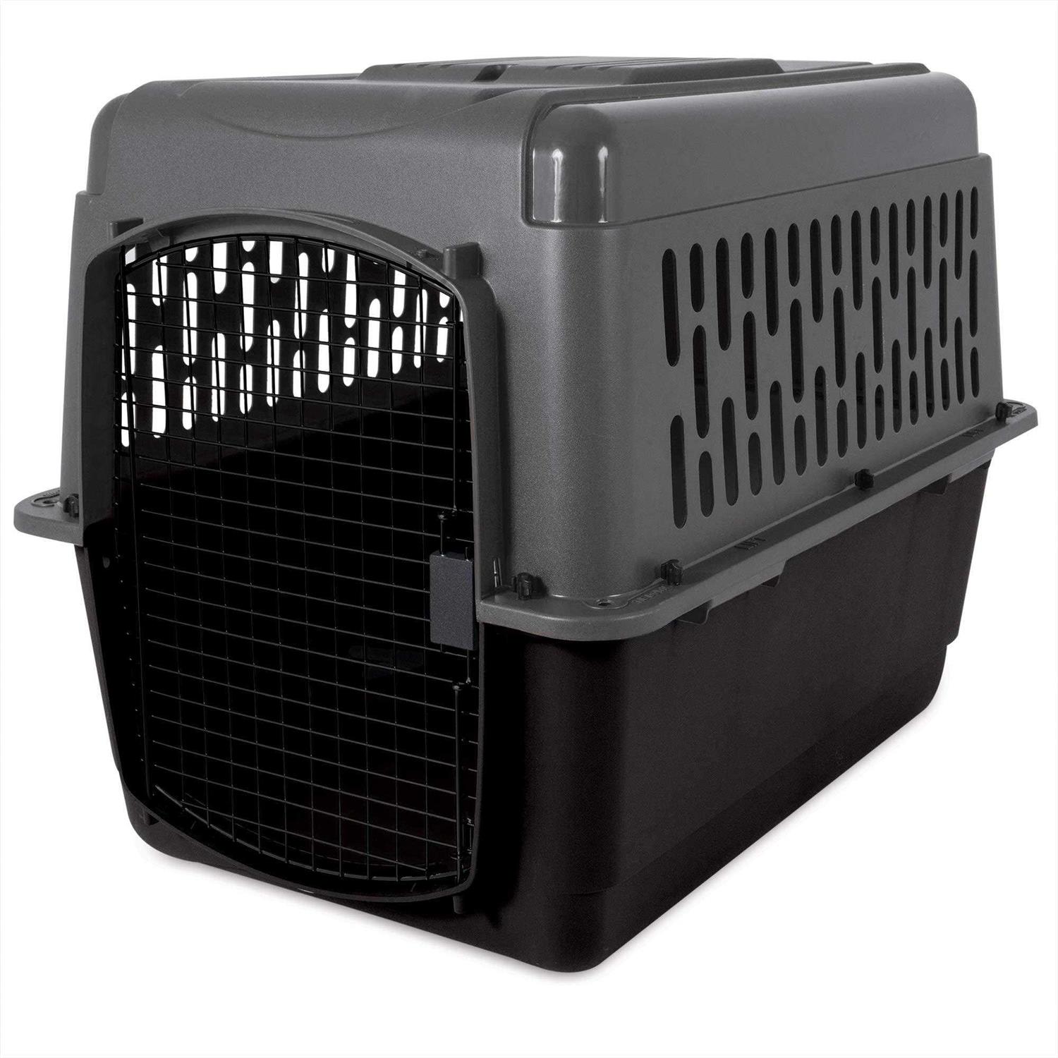 Aspen Pet Porter
