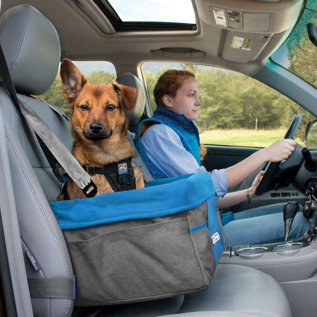 Alternative view of Kurgo Heather Dog Booster Seat