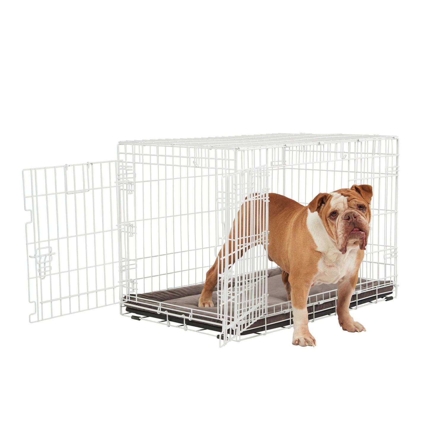 EveryYay White 2-Door Dog Crate H