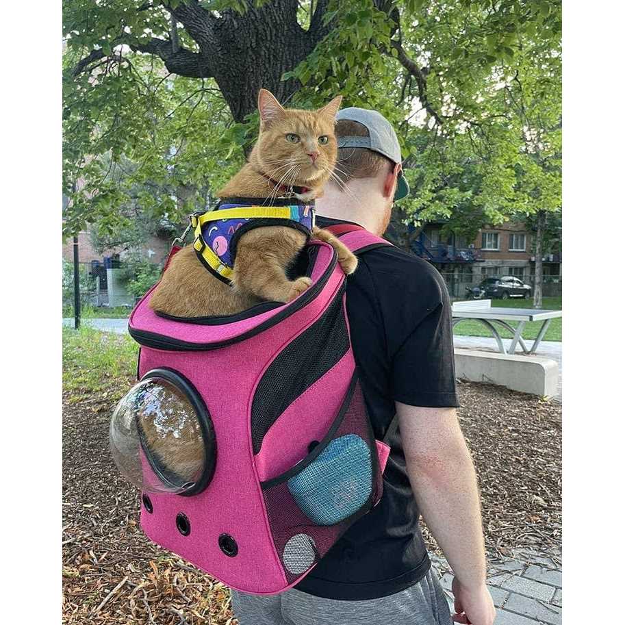 Alternative view of The Fat Cat Cat Backpack