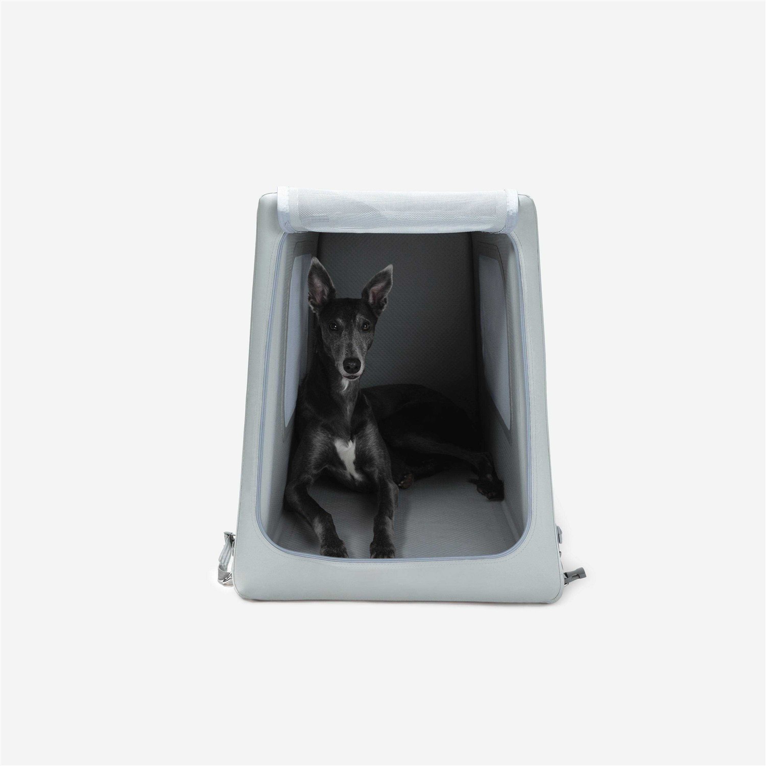 Diggs Enventur Travel Kennel Portable Dog Crate