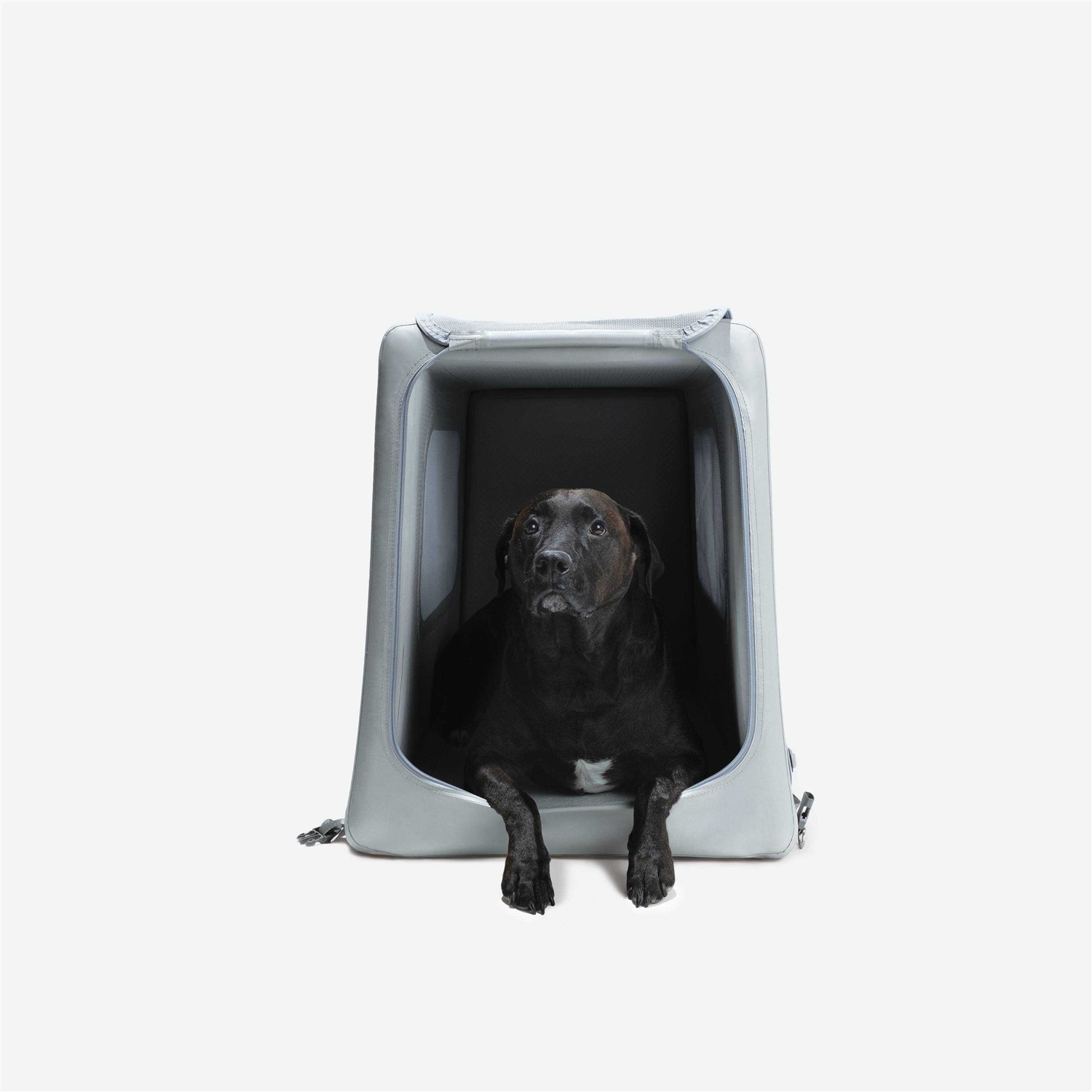 Diggs Enventur Travel Kennel Portable Dog Crate