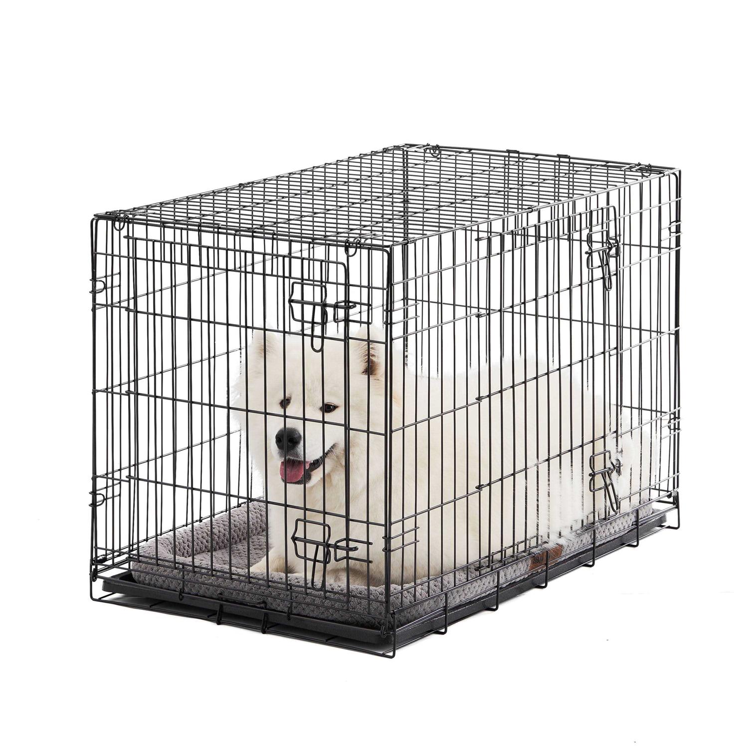 Vibrant Life Double Door Folding Wire Dog Crate with Divider