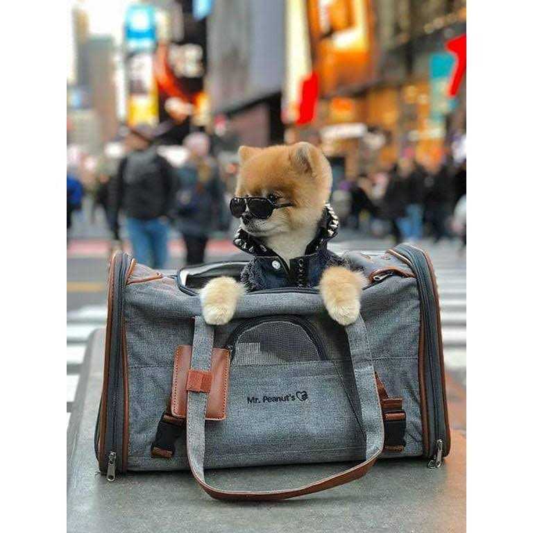 Alternative view of Gold Series Expandable Airline Approved Pet Carrier Mr. Peanut&s
