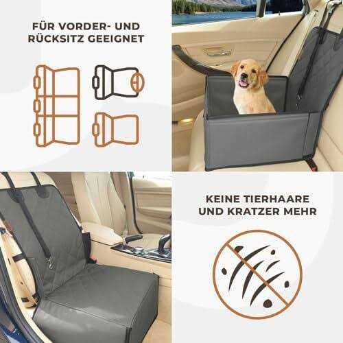 Alternative view of Wuglo Extra Stable Dog car Seat Robust car Dog Seat or Puppy car Seat for Small to Medium-Sized Dogs