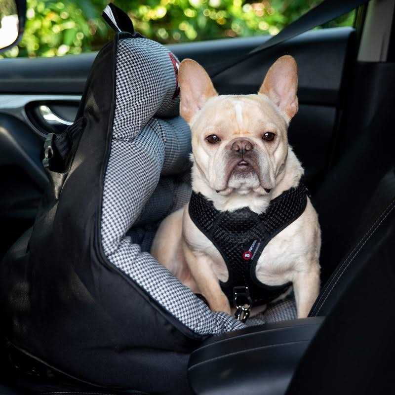 Alternative view of PupSaver Dog Car Seats for Small and Medium Dogs Travel Booster Pet Seat |Crash-Tested Dog Bed for Cars