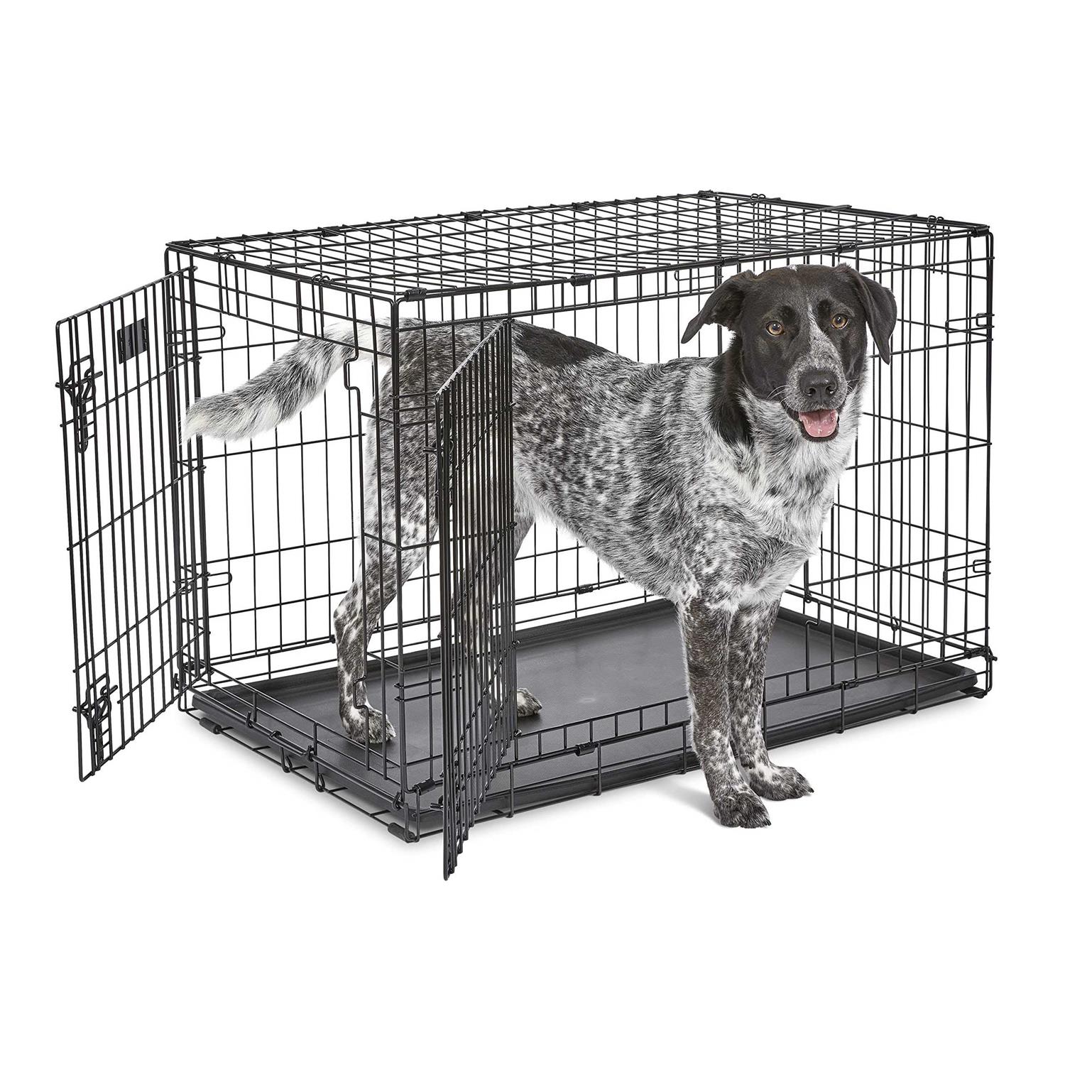 Alternative view of MidWest iCrate Double Door Fold Carry Dog Crate