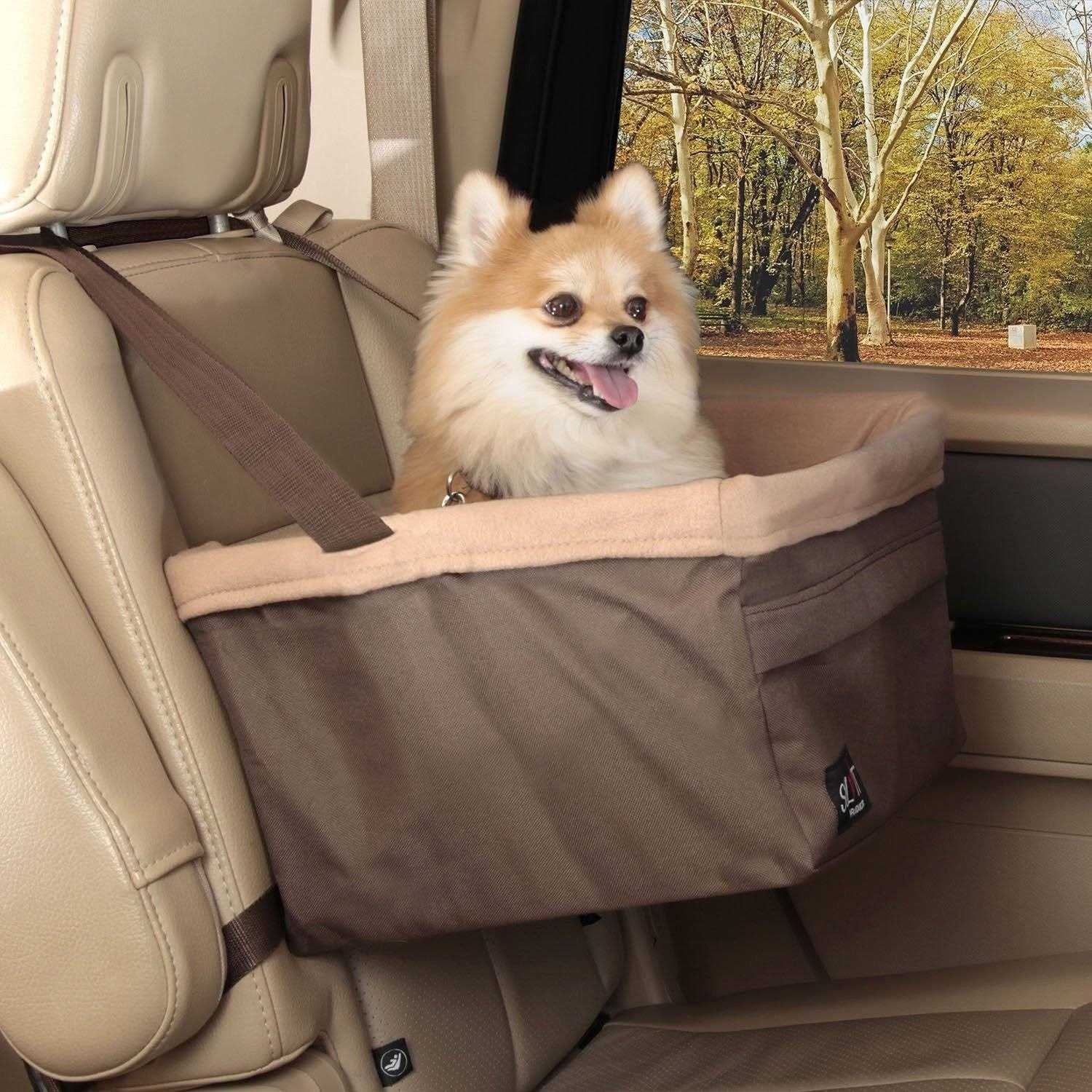 PetSafe Tagalong Booster Seat