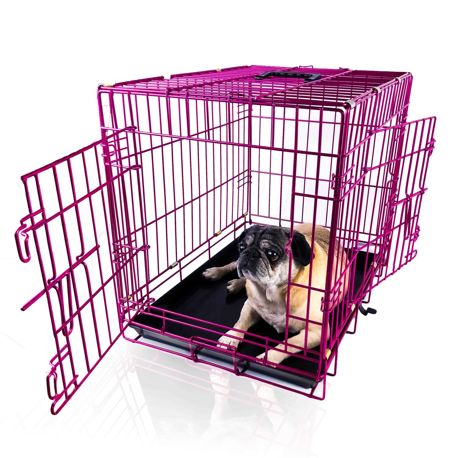 Pet Expressions Colored Metal Wire Dog Crate