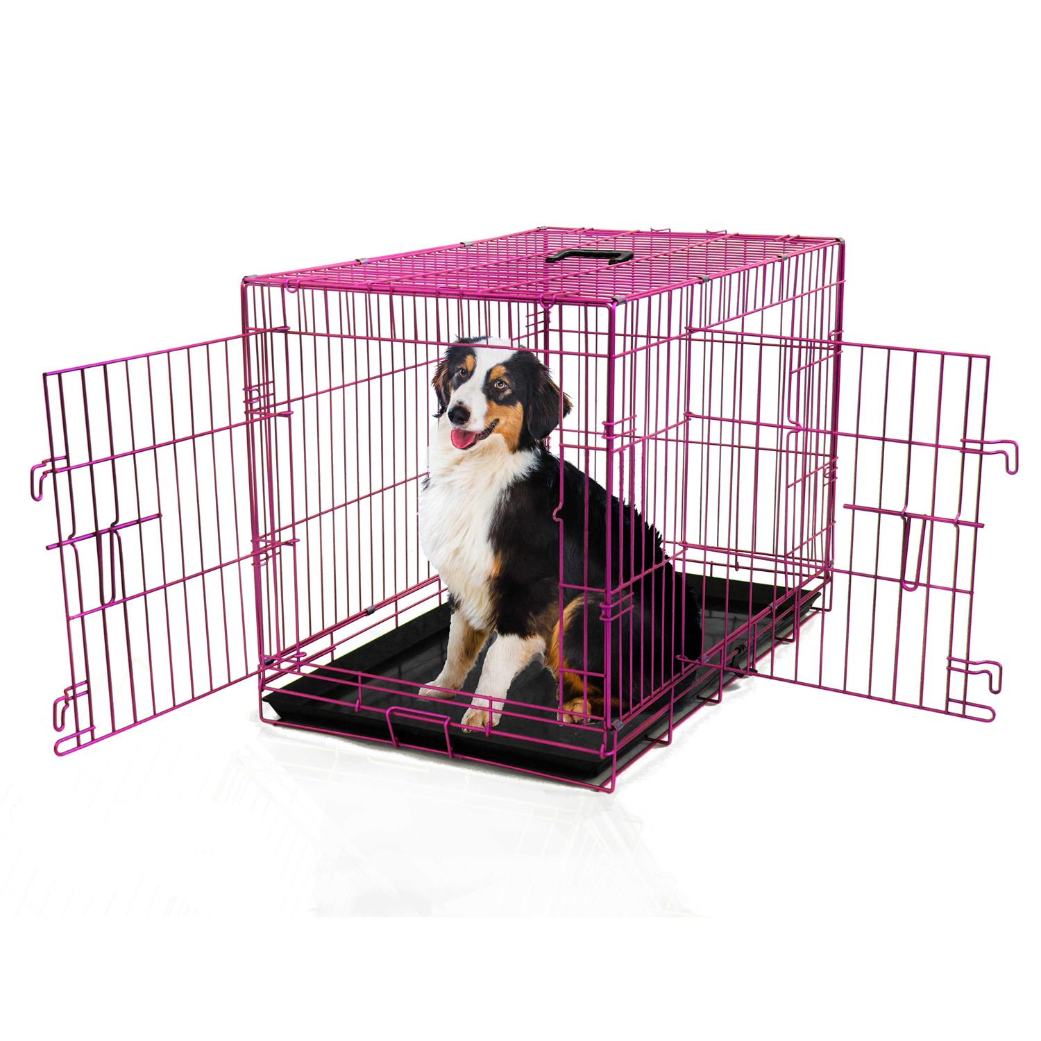 Pet Expressions Colored Metal Wire Dog Crate