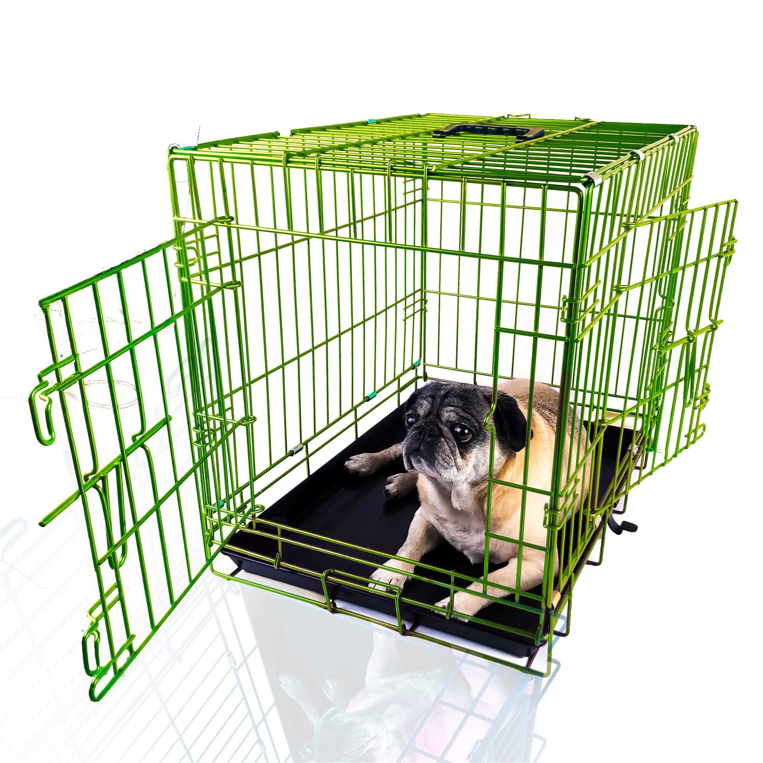 Pet Expressions Colored Metal Wire Dog Crate