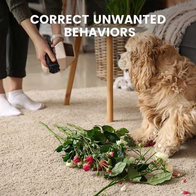 Alternative view of DogCare ED11 Ultrasonic Dog Bark Deterrent