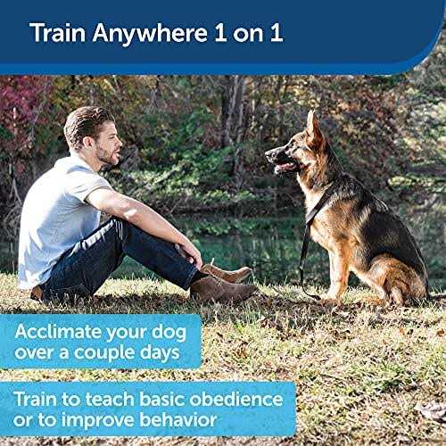 Alternative view of PetSafe Collarless Ultrasonic Remote Dog Trainer