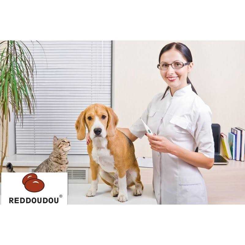 Alternative view of Reddoudou Digital Pet Thermometer for Accurate Fever Detection, Suitable for Cats/Dogs/Horse/Veterinarian, Waterproof Pet Thermometer, Fast and