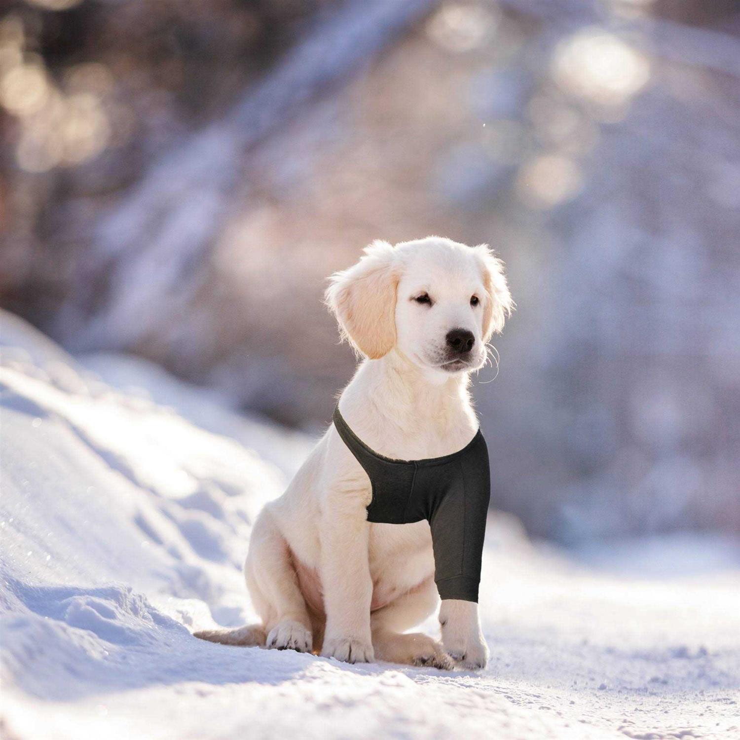 Alternative view of Suitical Dog Recovery Sleeve