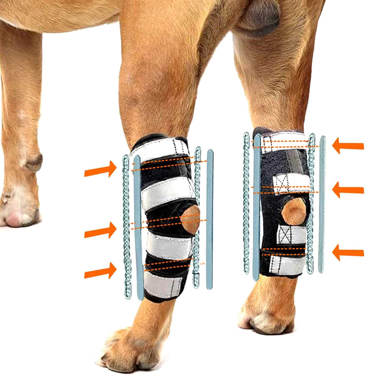 NeoAlly 3-in-1 Long Rear Leg Support Dog Splint Braces