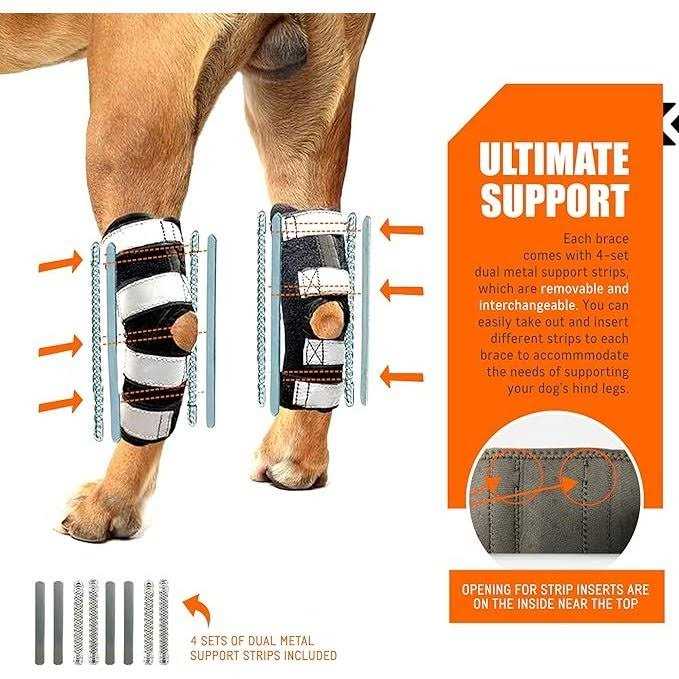 Alternative view of NeoAlly 3-in-1 Long Rear Leg Support Dog Splint Braces