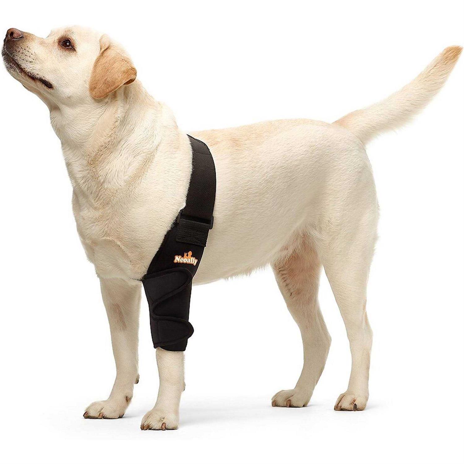 NeoAlly Dog Elbow Brace Protector Pads for Canine Elbow and Shoulder Support Elbow Hygroma
