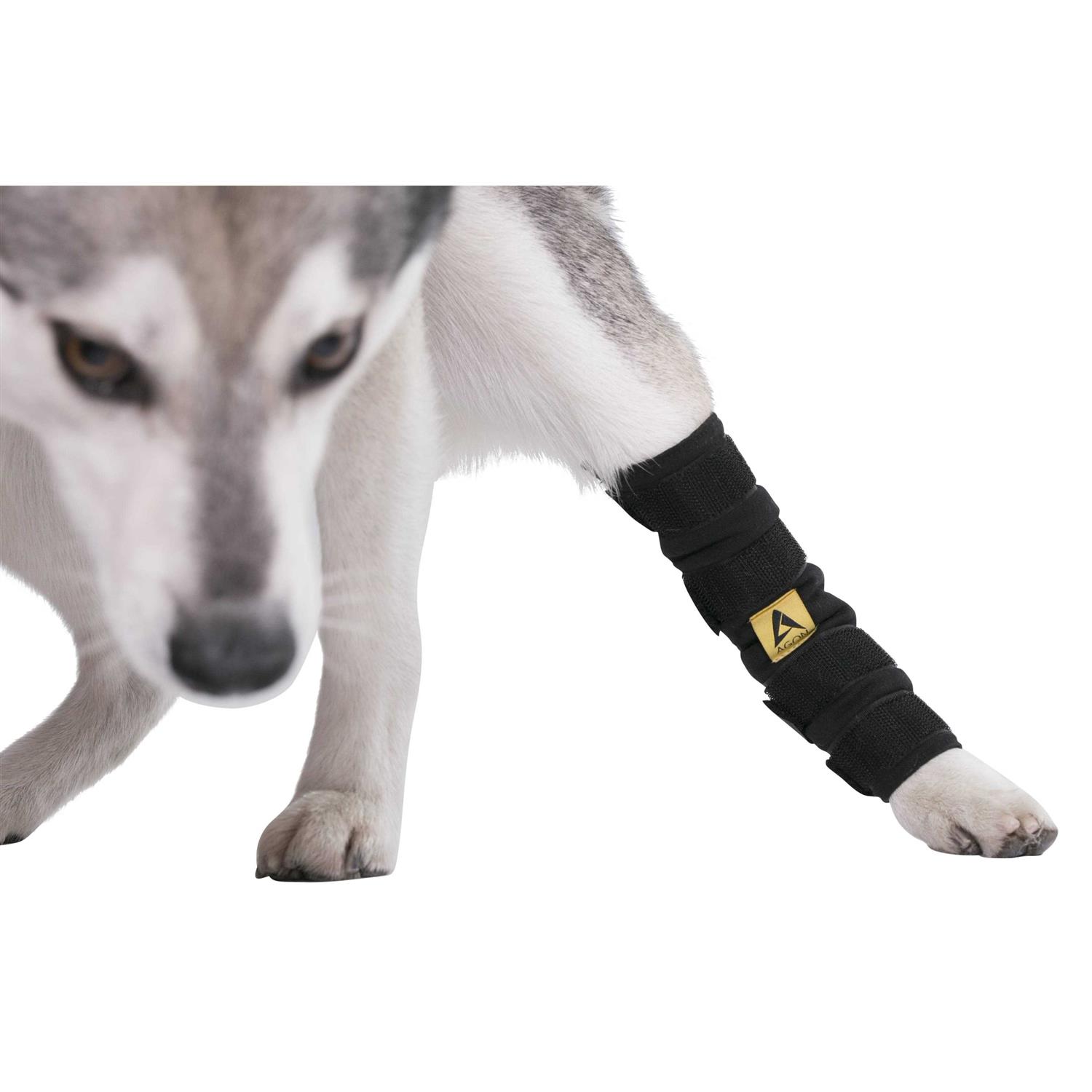 Alternative view of Agon canine Dog Hock Brace Rear Leg Joint Wrap Protects Wounds as They Heal, compression Wrap, Heals and Prevents Injuries and Sprains Helps