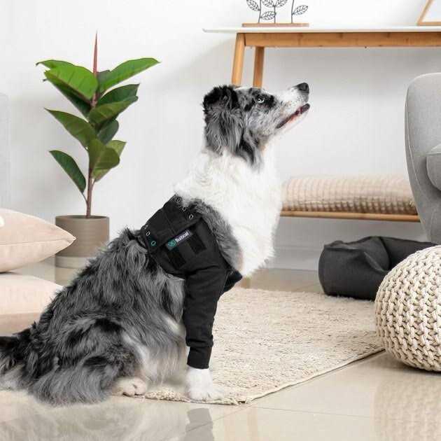 Alternative view of Suitical Dog Recovery Double Sleeves