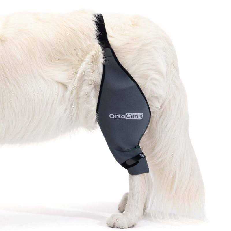 Alternative view of Ortocanis Knee Brace for Dogs with Cruciate Ligament Injuries, Patella Dislocation or Osteoarthritis