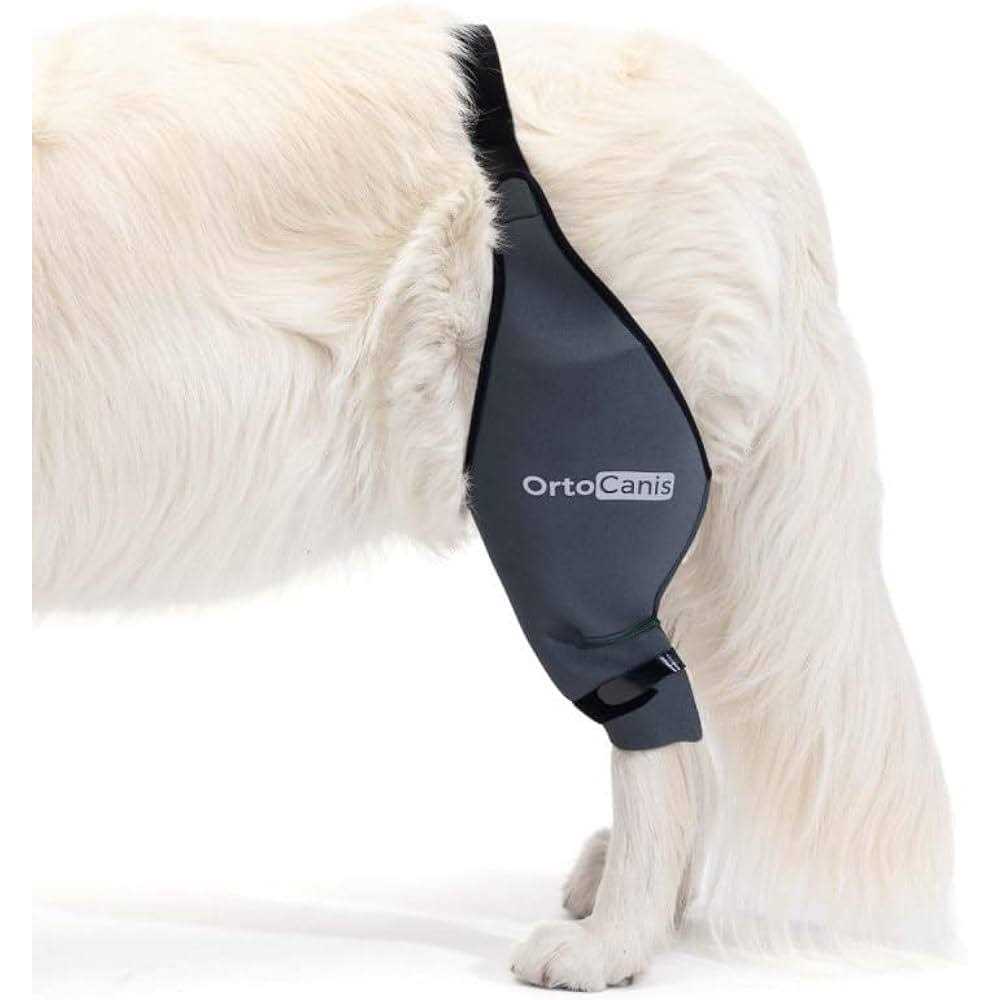 Alternative view of Ortocanis Knee Brace for Dogs with Cruciate Ligament Injuries, Patella Dislocation or Osteoarthritis