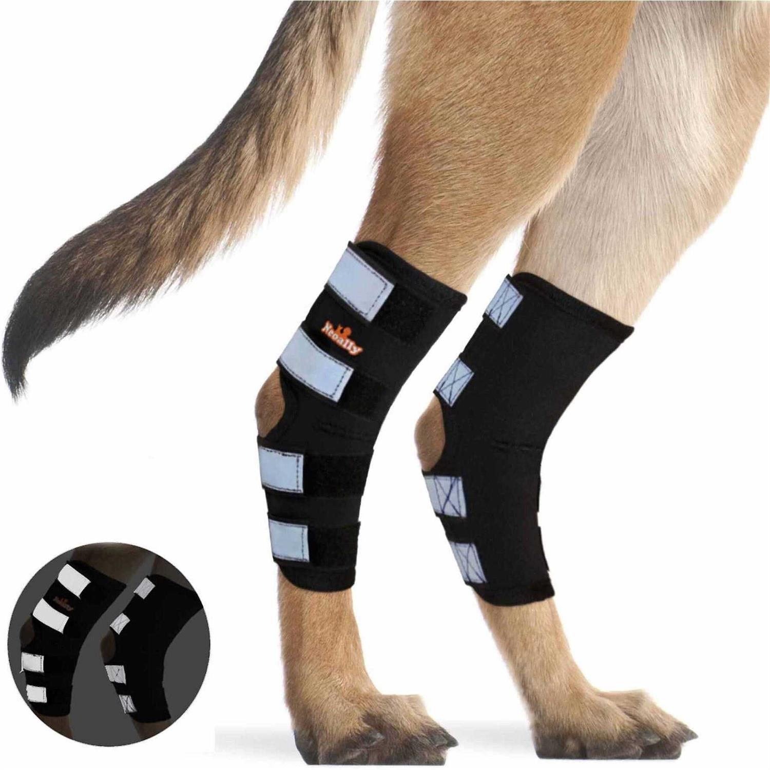 Neoally Dog Hind Leg Brace Canine Rear Leg Support with Safety Reflective Straps for Joint Injury