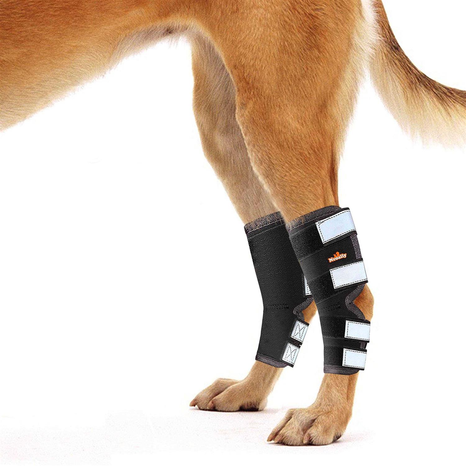 Alternative view of Neoally Dog Hind Leg Brace Canine Rear Leg Support with Safety Reflective Straps for Joint Injury