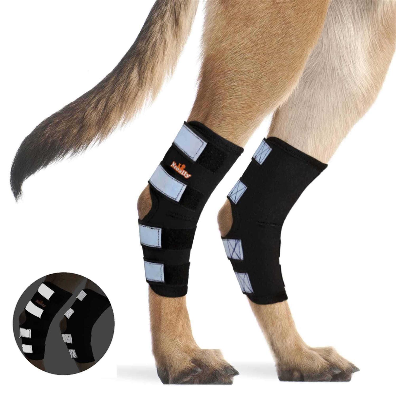 Alternative view of Neoally Dog Hind Leg Brace Canine Rear Leg Support with Safety Reflective Straps for Joint Injury