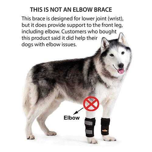 Alternative view of NeoAlly Pair Dog Front Leg Braces and Support Canine Front Leg Wrist Carpal